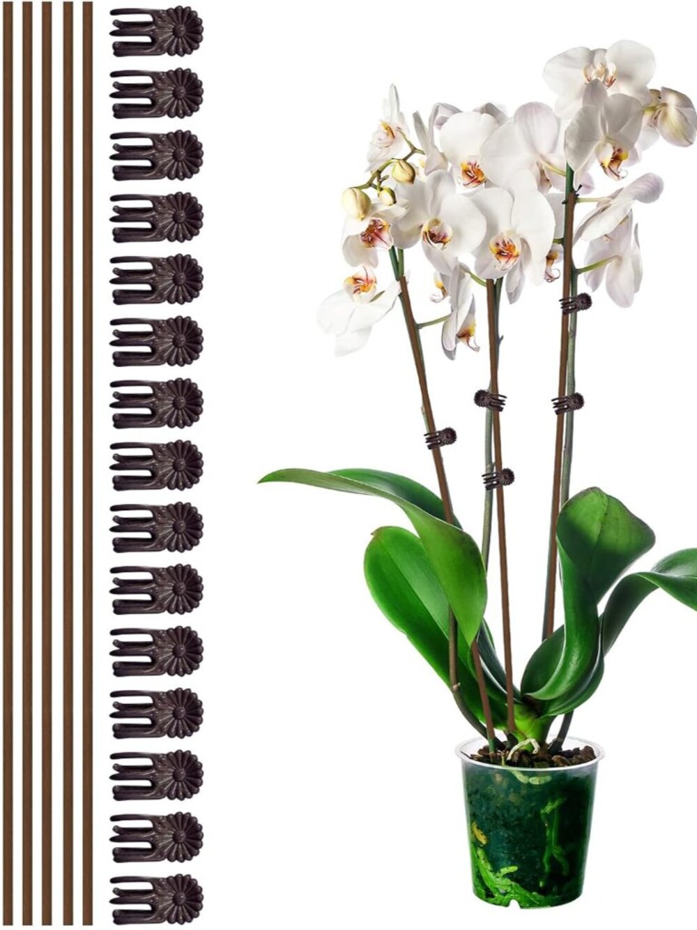 10Pcs Plant Support Stakes with 15Pcs Plant Clips, 15.75inch Tall Bendable Singl